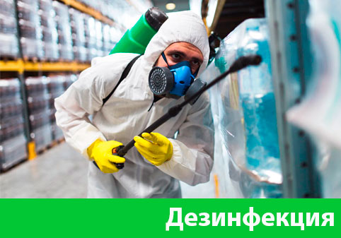Дезинфекция в городе Ногинск