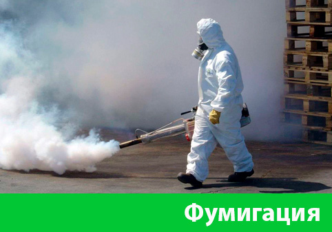 Фумигация в городе Ногинск
