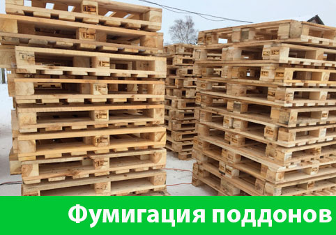 Фумигация поддонов в городе Ногинск