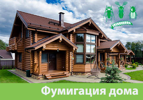 Преимущества обработки газом в городе Ногинск