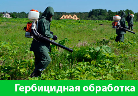 Гербицидная обработка в городе Ногинск