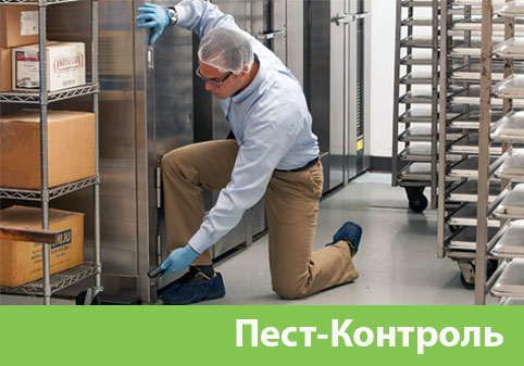 Пэст-Контроль в городе Ногинск