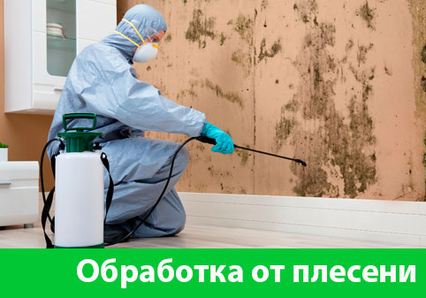 Обработка от плесени в городе Ногинск