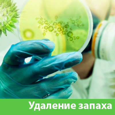 Удаление запахов в Ногинске
