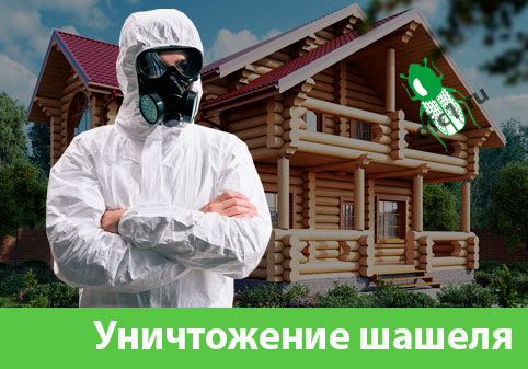 Уничтожение шашеля и личинок в Ногинске