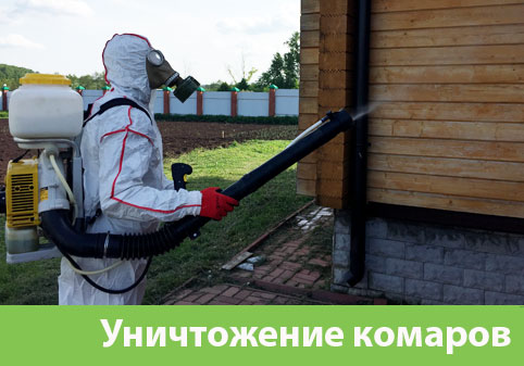 Уничтожение комаров в городе Ногинск